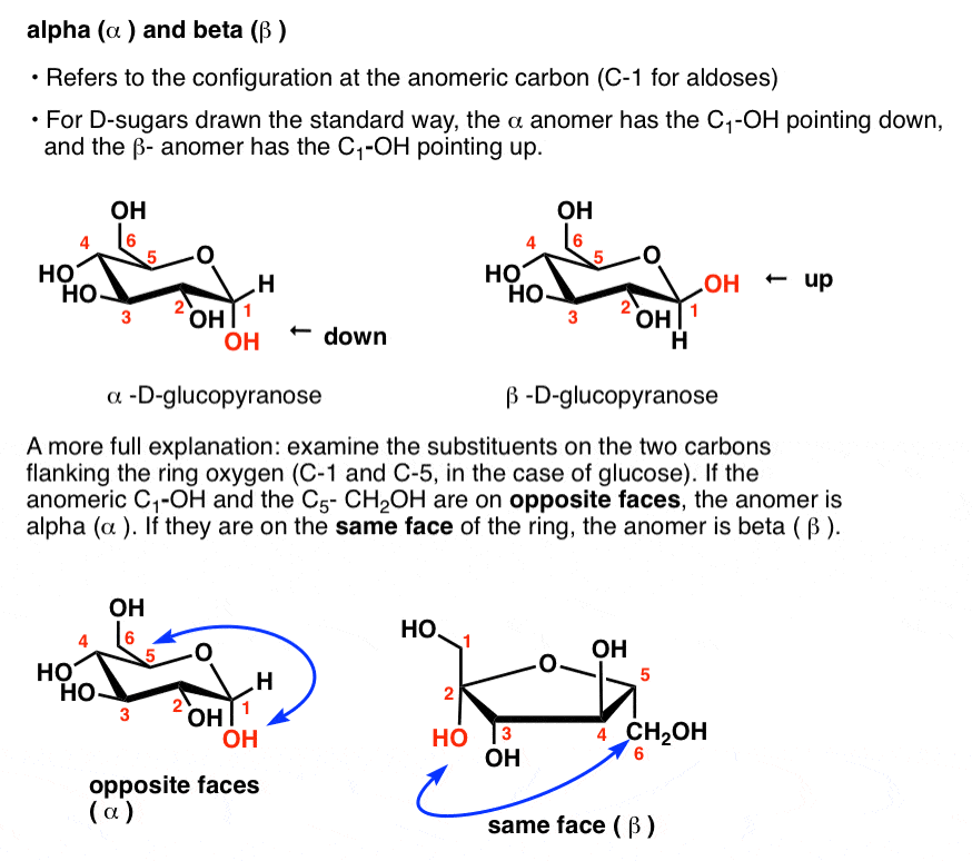 non reducing anomeric carbon