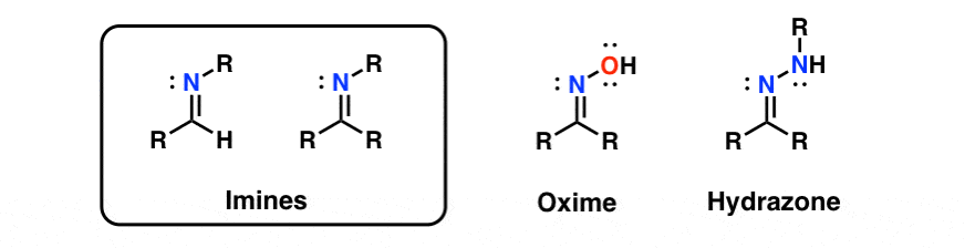 diagram of imines oxime and hydrazone