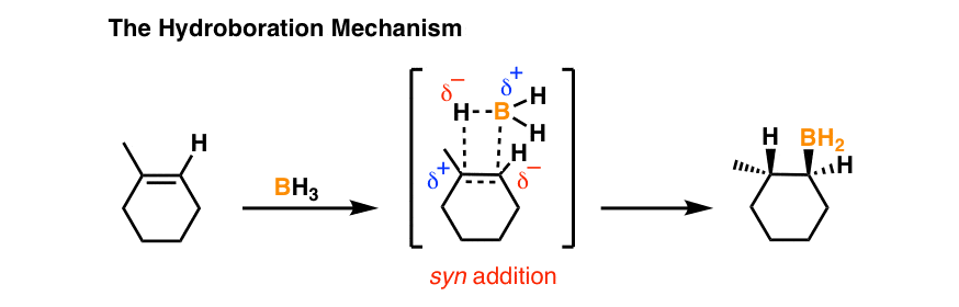 drawing of hydroboration mechanism 1-methylcyclohexene with bh3 transition state anti markovnikov product