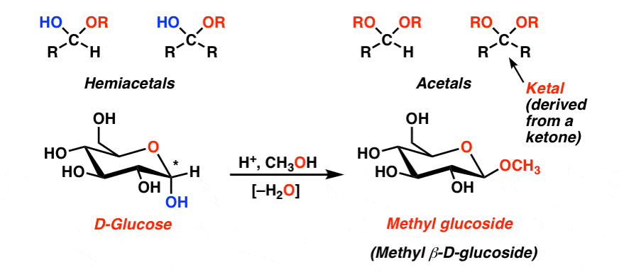 On Acetals And Hemiacetals Master Organic Chemistry