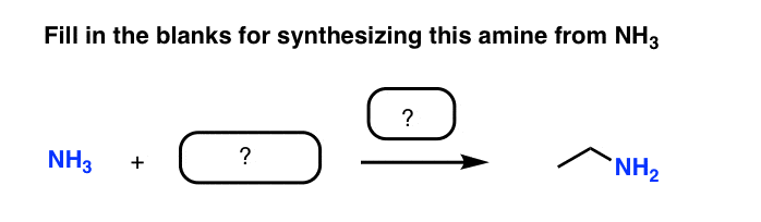 fill in the blanks for synthesis of this amine from nh3