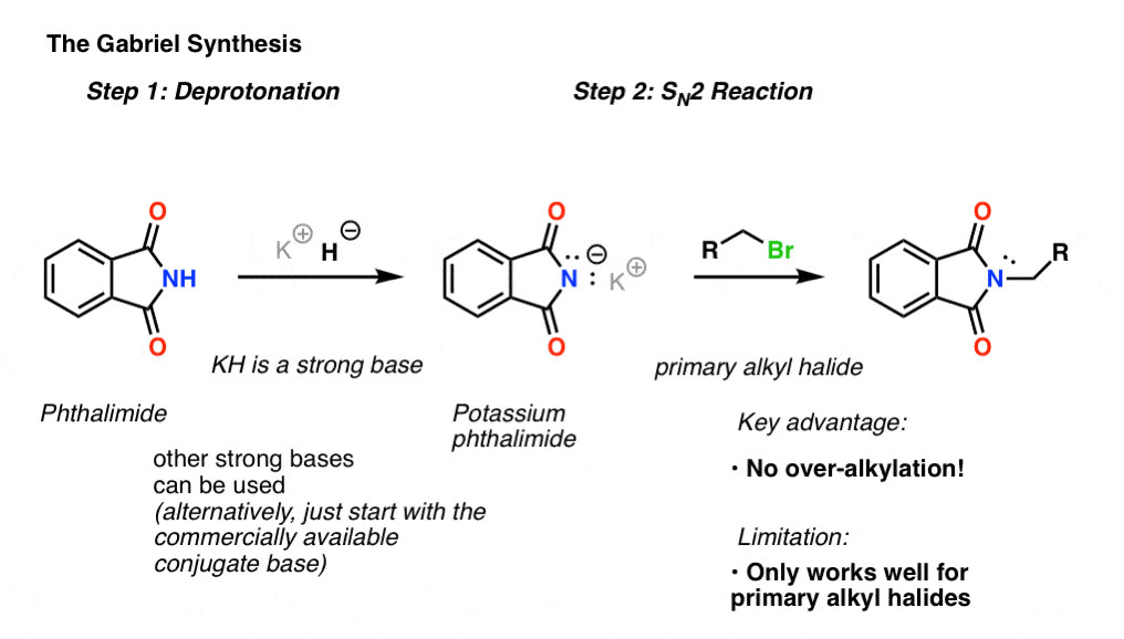 gabriel synthesis overview deprotonation followed by sn2 reaction