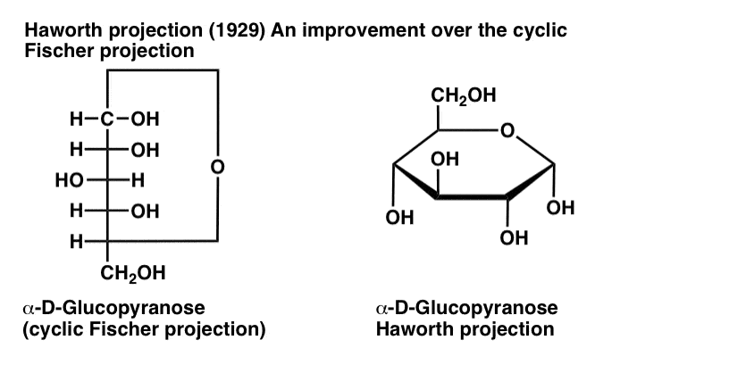 haworth-projection-versus-cyclic-fischer-projection