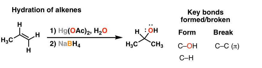 hydration of alkenes with mercury oxymercuration and water gives markovnikov alcohols with no rearrangement