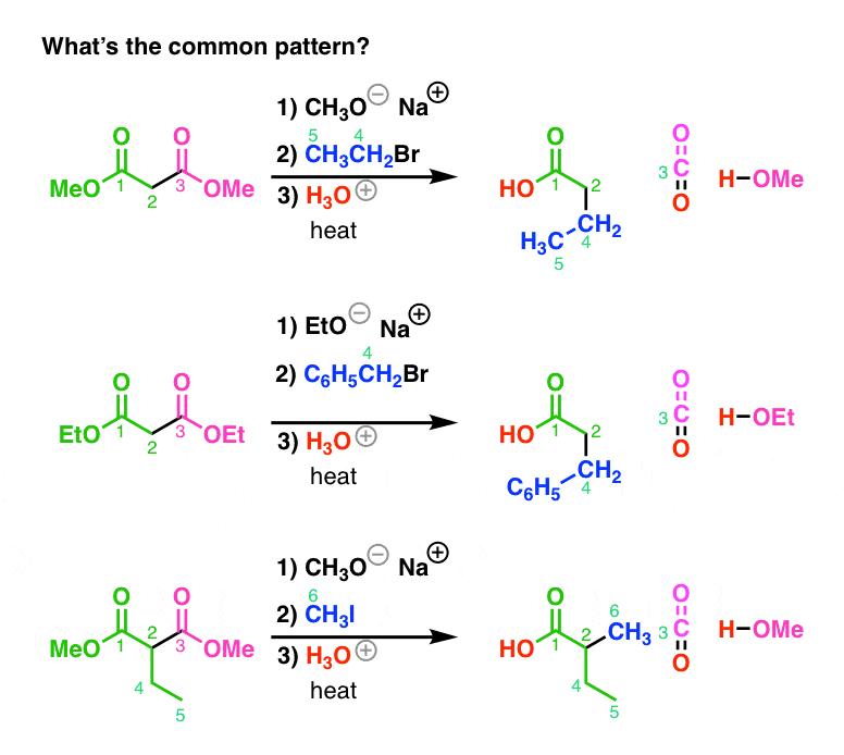 key pattern in malonic ester synthesis where does each component come from and where does each go