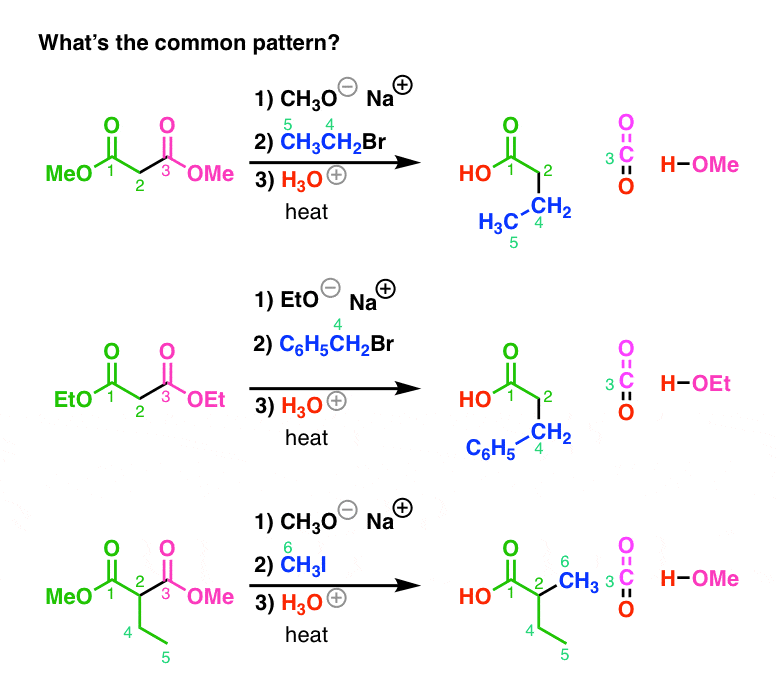 The Malonic Ester Synthesis Master Organic Chemistry