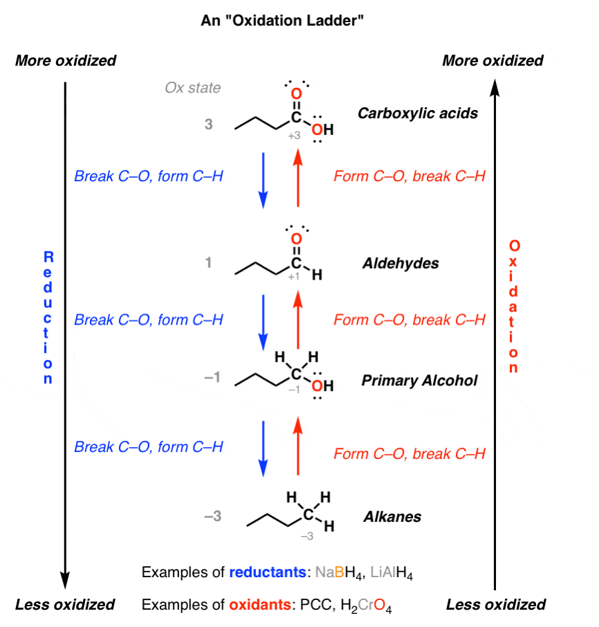 alkanes examples