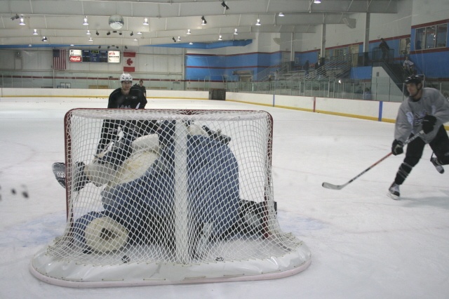 This cat stops mini pucks like it's an elite hockey goalie