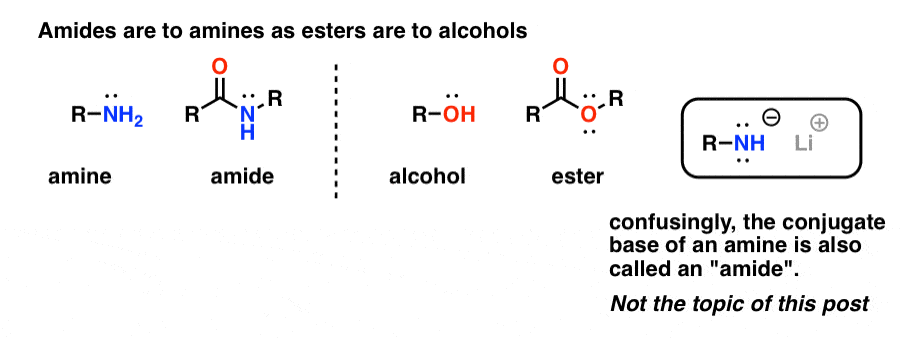 Amine Imine Amide