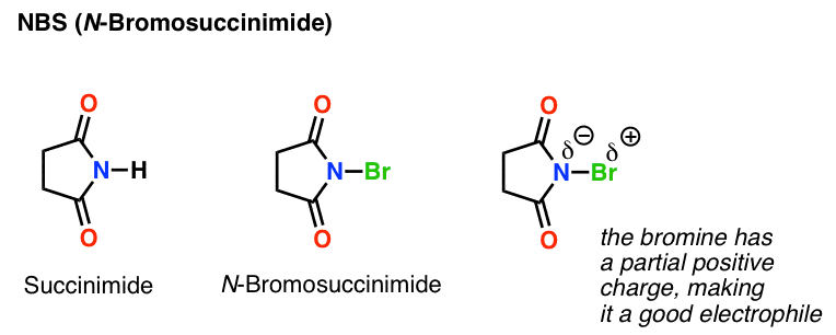 structure-of-nbs-n-bromo-succinimide