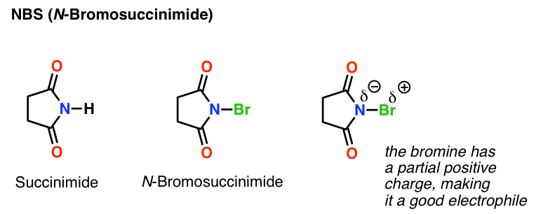 N Bromosuccinimide Nbs As A Reagent In Organic Chemistry