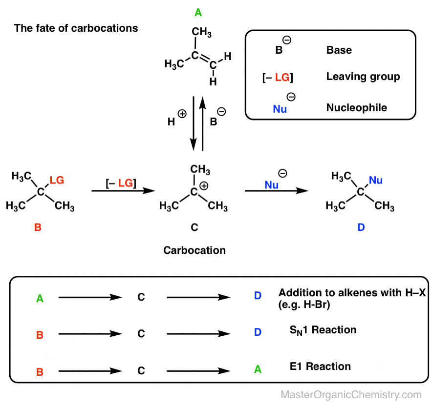 united pathway of carbocation fates addition elimination substitution go through carbocation