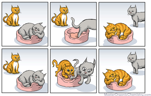 using cats to compare sn1 and sn2 reactions master organic chemistry