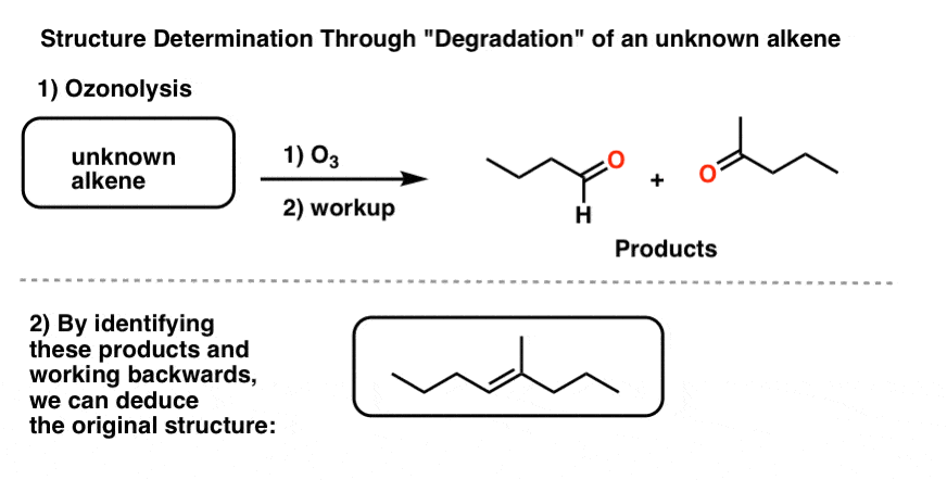 degradation-of-the-unknown-alkene-through-ozonolysis-provides-clue-to-structure
