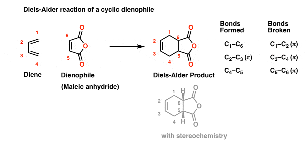 diels alder reaction with butadiene and a cyclic dienophile giving diels alder product can be shown with stereochemistry