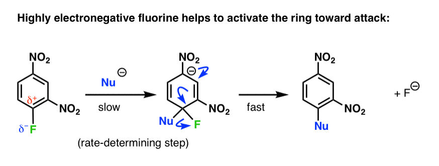 in nucleophilic aromatic substitution fluorine helps activate ring towards attack