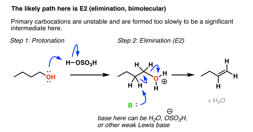 mechanism for formation of alkenes from protonation of primary alcohols with h2so4 and heat likely goes through e2 with weak base