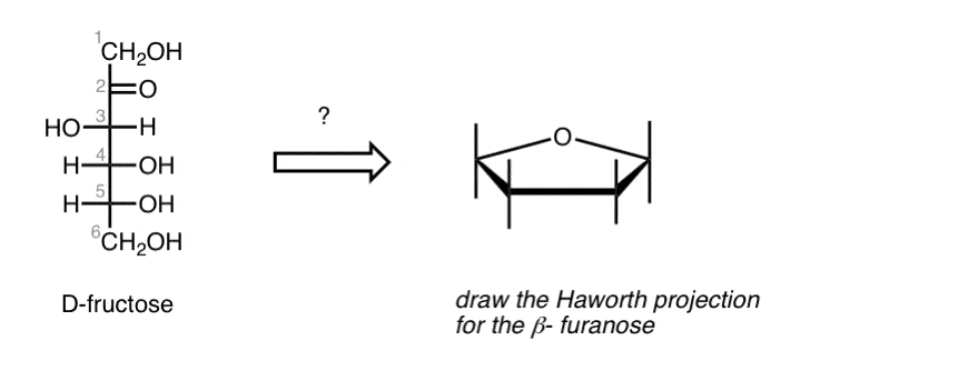 quiz-convert-d-fructose-to-haworth-projection