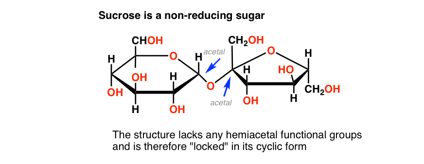 The Structure and Function of Carbohydrates