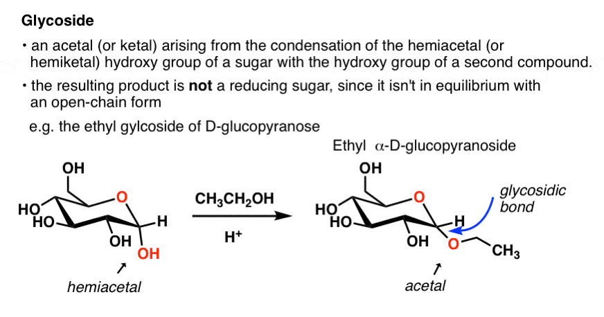 definition-of-glycoside-is-that-it-is-an-acetal-or-ketal-arising-from-the-condensation-of-a-sugar-with-another-hydroxy-group.