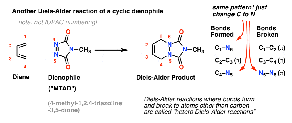 diels alder reaction of cyclic dienophile with diene butadiene dienophile is mtad hetero diels alder reaction