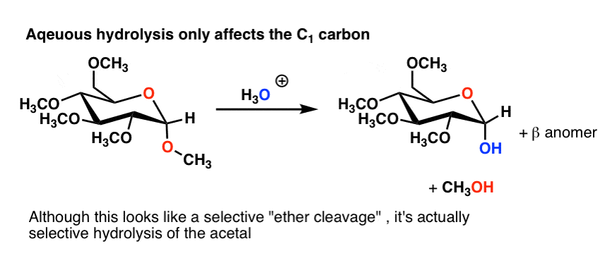 selective-hydrolysis-of-acetals-only-affects-anomeric-carbon