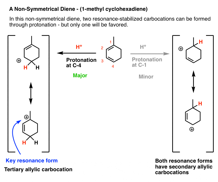 what are thermodynamic and kinetic products from addition of hbr to 1 methylcyclohexadiene drawing out protonatoin at c1 and protonation at c4 and analyzing resonance forms