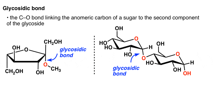 definition-of-a-glycosidic-bond-is-that-it-is-a-c-o-bond-linking-the-anomeric-carbon-of-a-sugar-to-the-second-component-of-the-glycoside