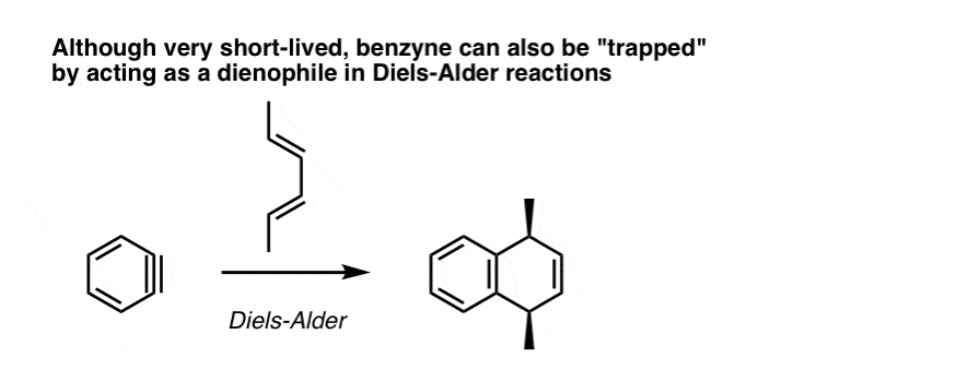 benzyne undergoes diels alder reactions trapping with dienes benzyne dienophile