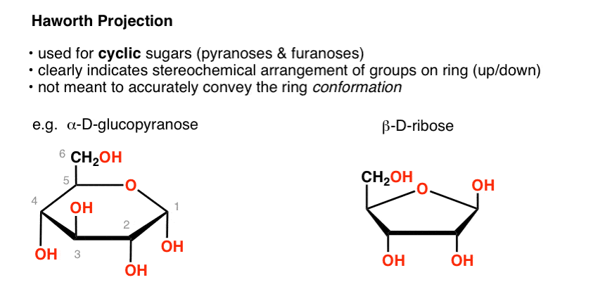 Alpha And Beta Glucose Ring Structure