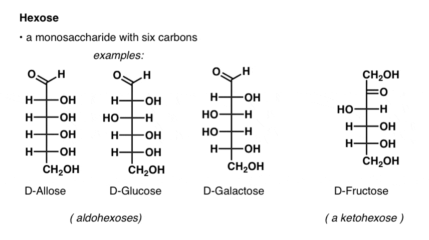 definition-of-a-hexose-is-a-monosaccharide-with-six-carbons