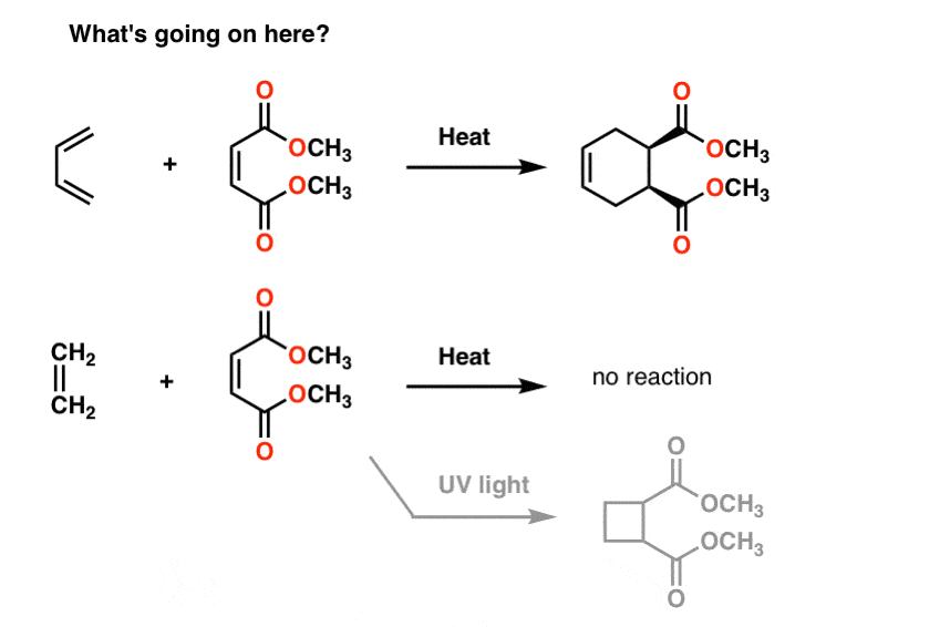 modern physical organic chemistry exercises