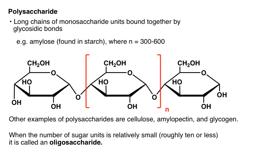 definition-of-a-polysaccharide-is-that-it-is-long-chains-of-monosaccharide-units-bound-together-by-glycosidic-bonds