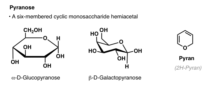 definition-of-a-pyranose-is-that-it-is-a-six-membered-cyclic-monosaccharide-hemiacetal