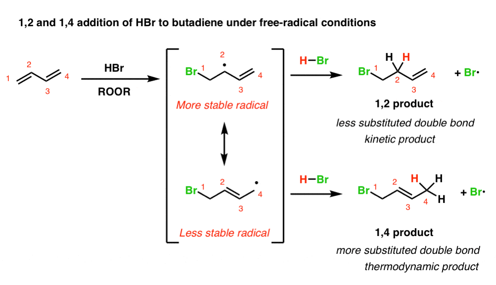 12 and 14 addition of hbr to butadiene under free radical conditions involves formation of more or less stable radical