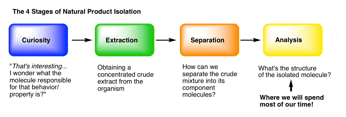 4 stages of natural product isolation includes curiosity extraction separation and analysis