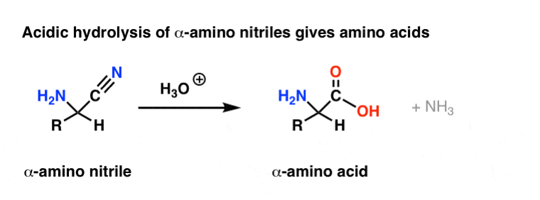 acidic hydrolysis of alpha amino acids gives amino acids