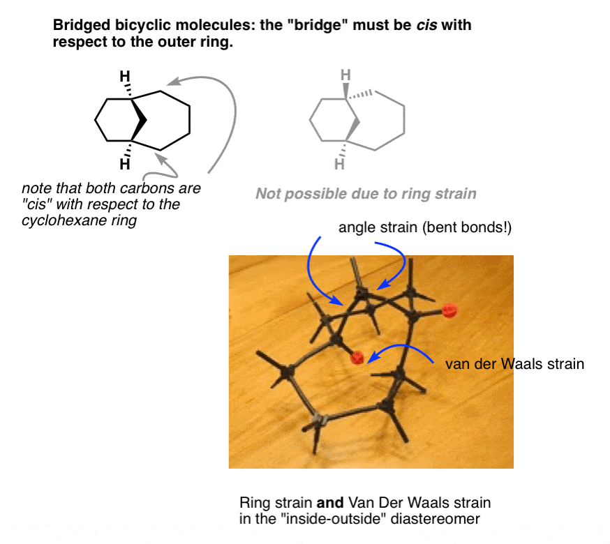 bridged-bicyclic-molecules-must-have-bridge-cis-with-respet-tot-the-outer-ring-due-to-ring-strain