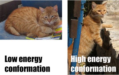 organic chemistry cat meme