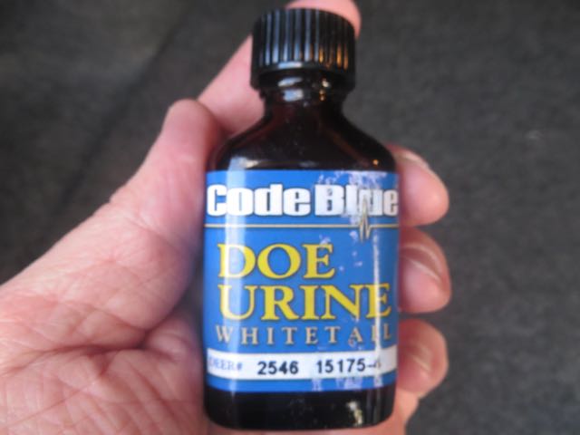 code blue doe urine found in back of car