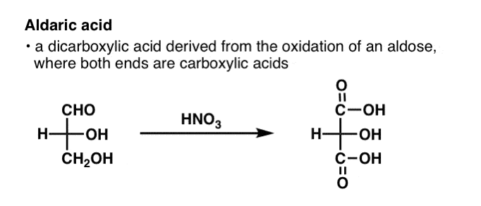 definition-of-aldaric-acid-is-a-dicarboxylic-acid-derived-from-oxidation-of-an-aldose