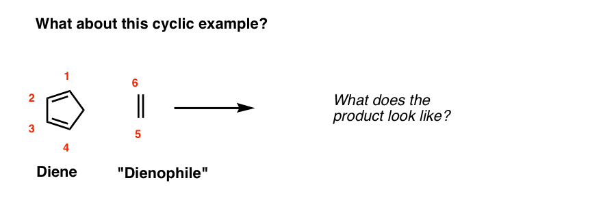 diels alder cyclic example between cyclopentadiene and alkene what does the product look like