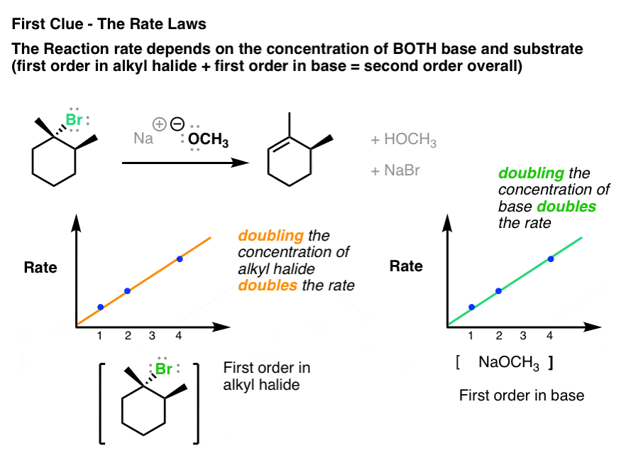 for e2 reaction rate depends both on concentration of alkyl halide and also of base second order overall