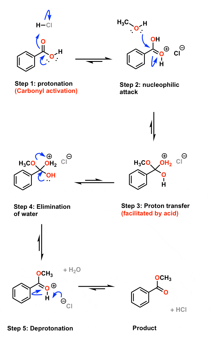 Draw The Product And Mechanism For The Esterification Reaction Of | Hot ...