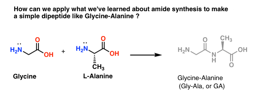 Sådan laver man et dipeptid af glycin og alanin