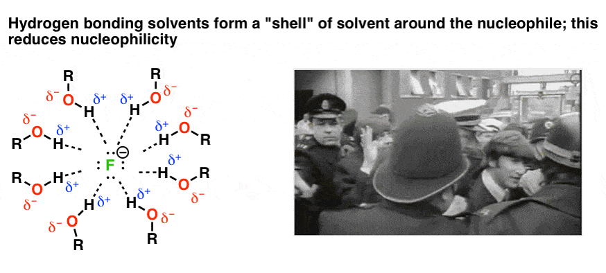 Polar Protic Solvent Examples