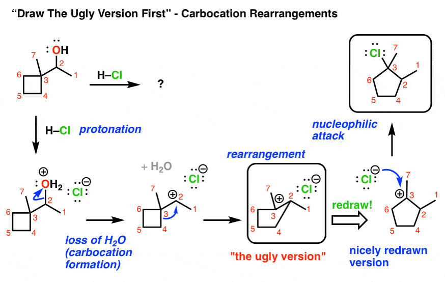 organic chemistry mechanism