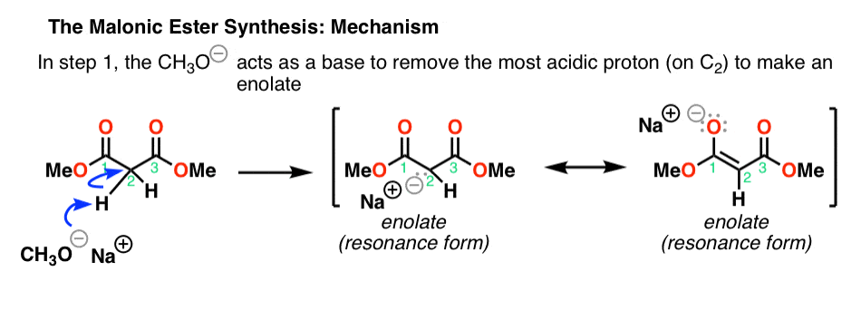 malonic ester synthesis mechanism step 1 deprotonation of alpha carbon with base