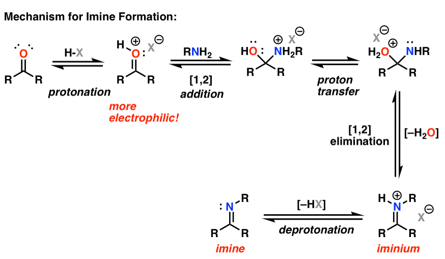 mechanism for imine formation from aldehyde or ketone