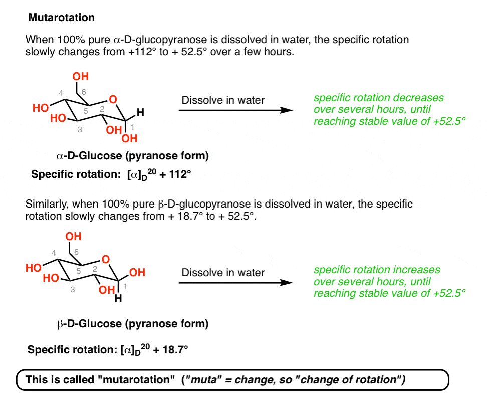 Maltose Definition, Structure & Function - Lesson | Study.com